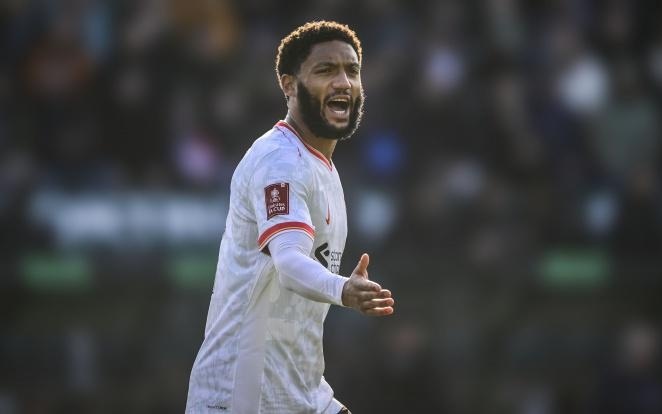 导致排名下 导致排名下