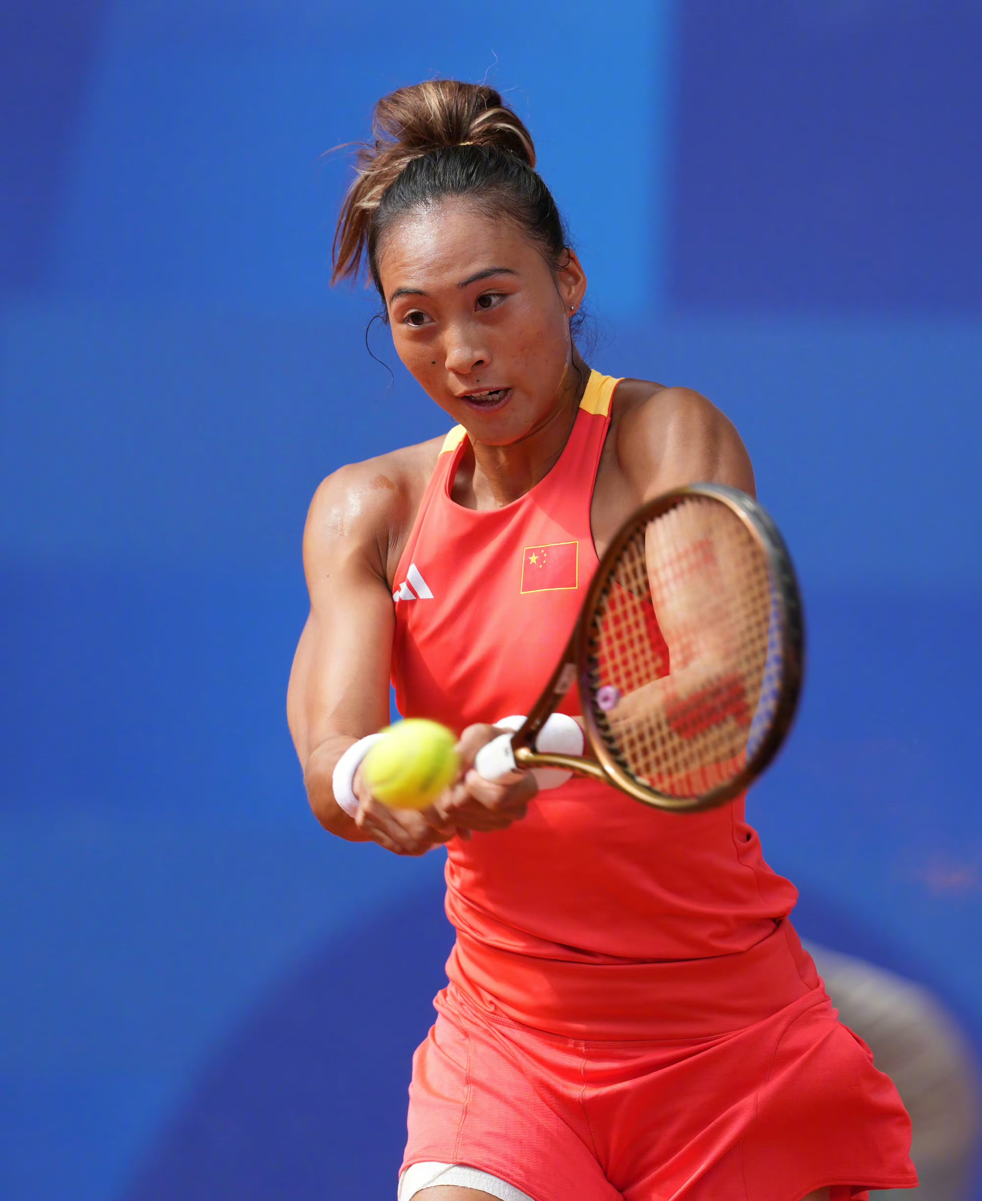 再次赢得了 再次赢得了